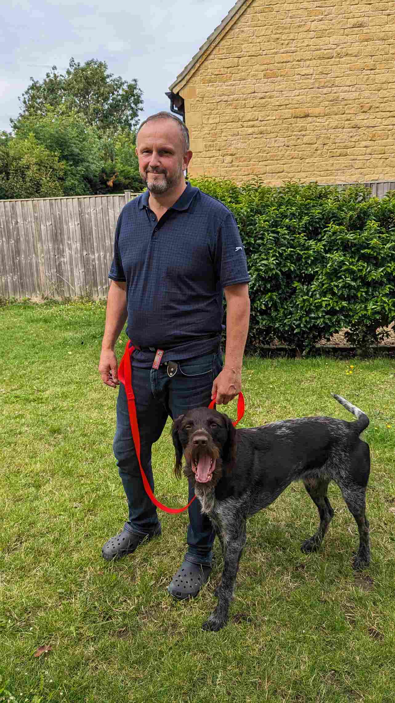 Dog walking deals belts